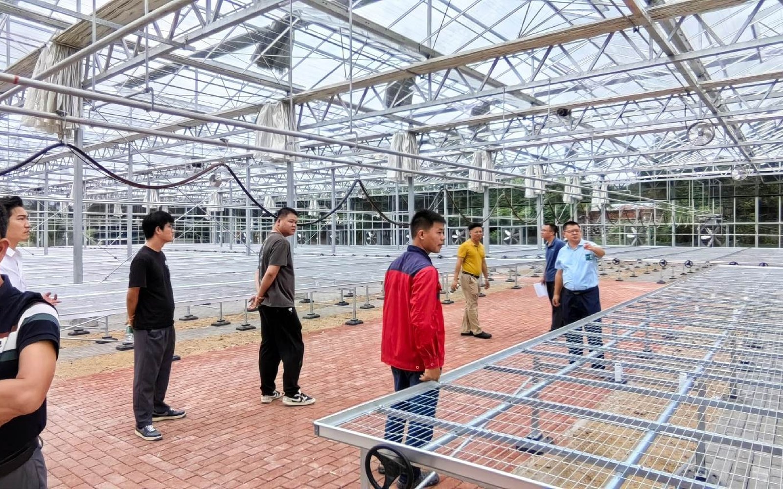 Interior review in glass greenhouse frame