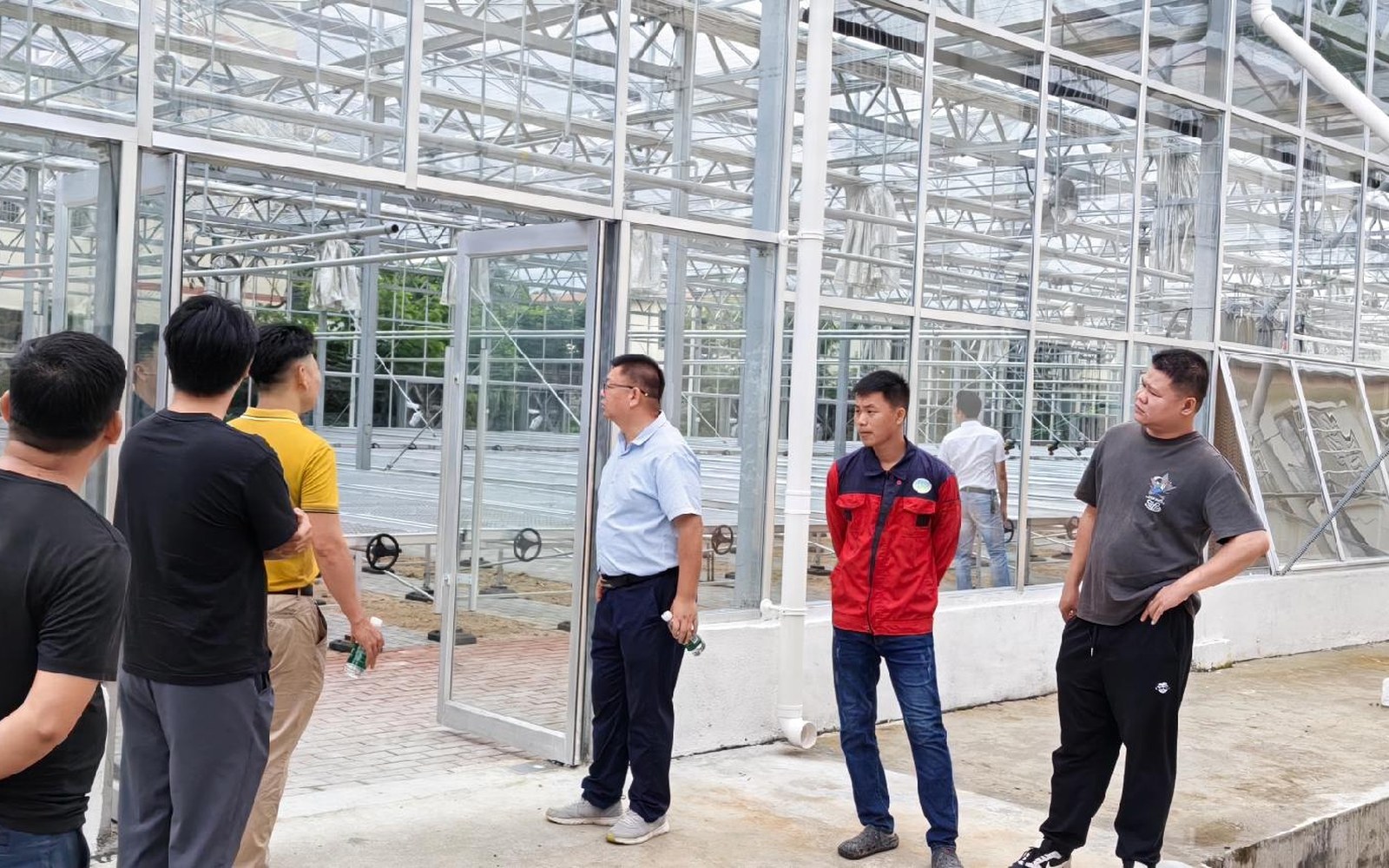 Team review beside glass greenhouse