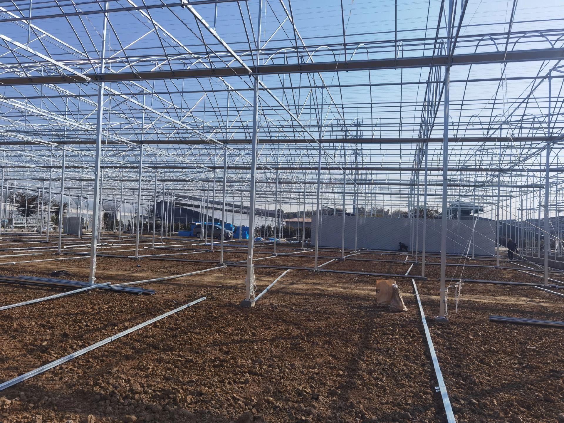 Greenhouse steel frame under construction