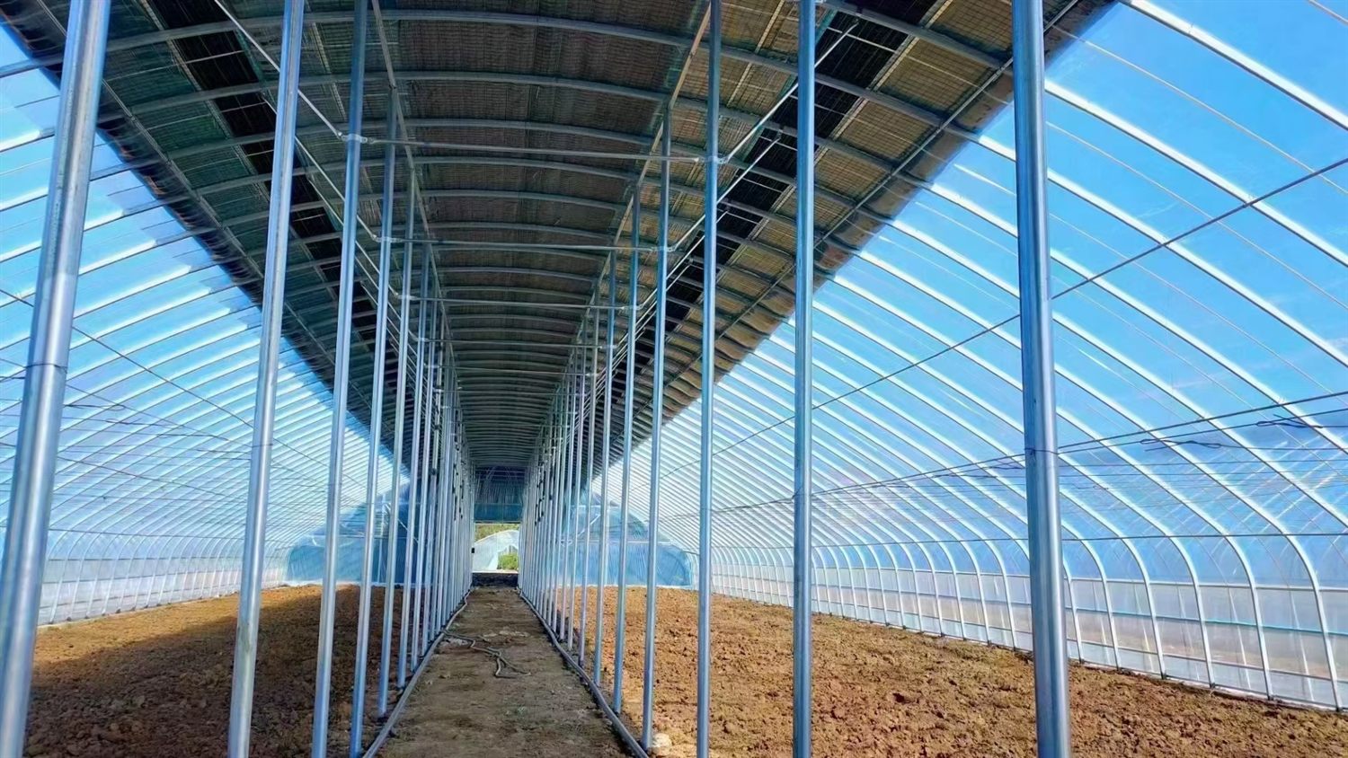 Covered walkway in single-span greenhouse