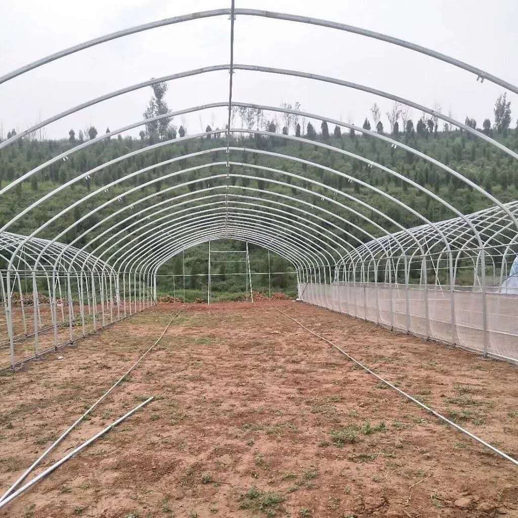 Single-span greenhouse frame construction