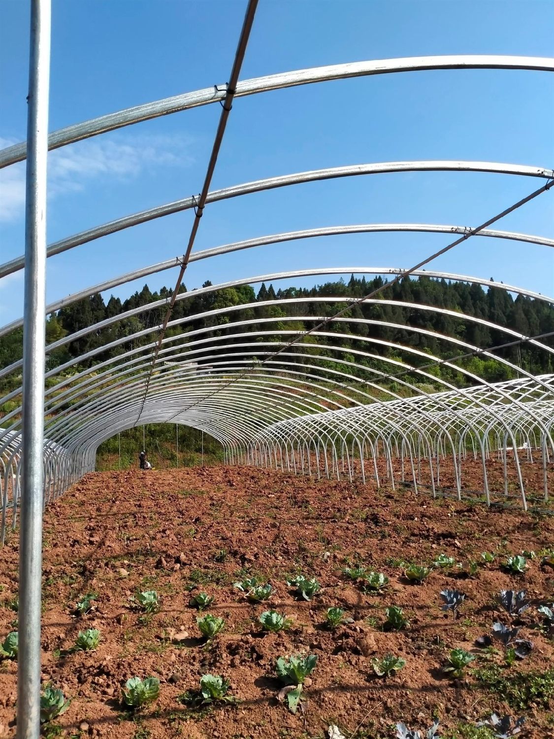 Single-span greenhouse frame detail