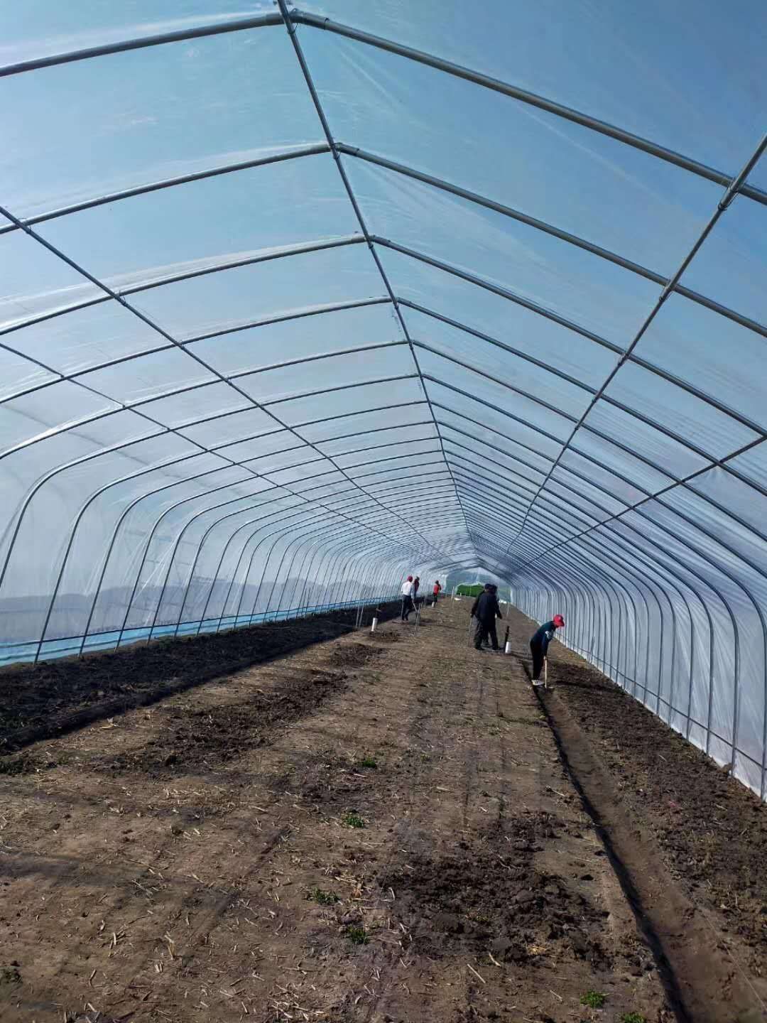 Single-span growing greenhouse interior