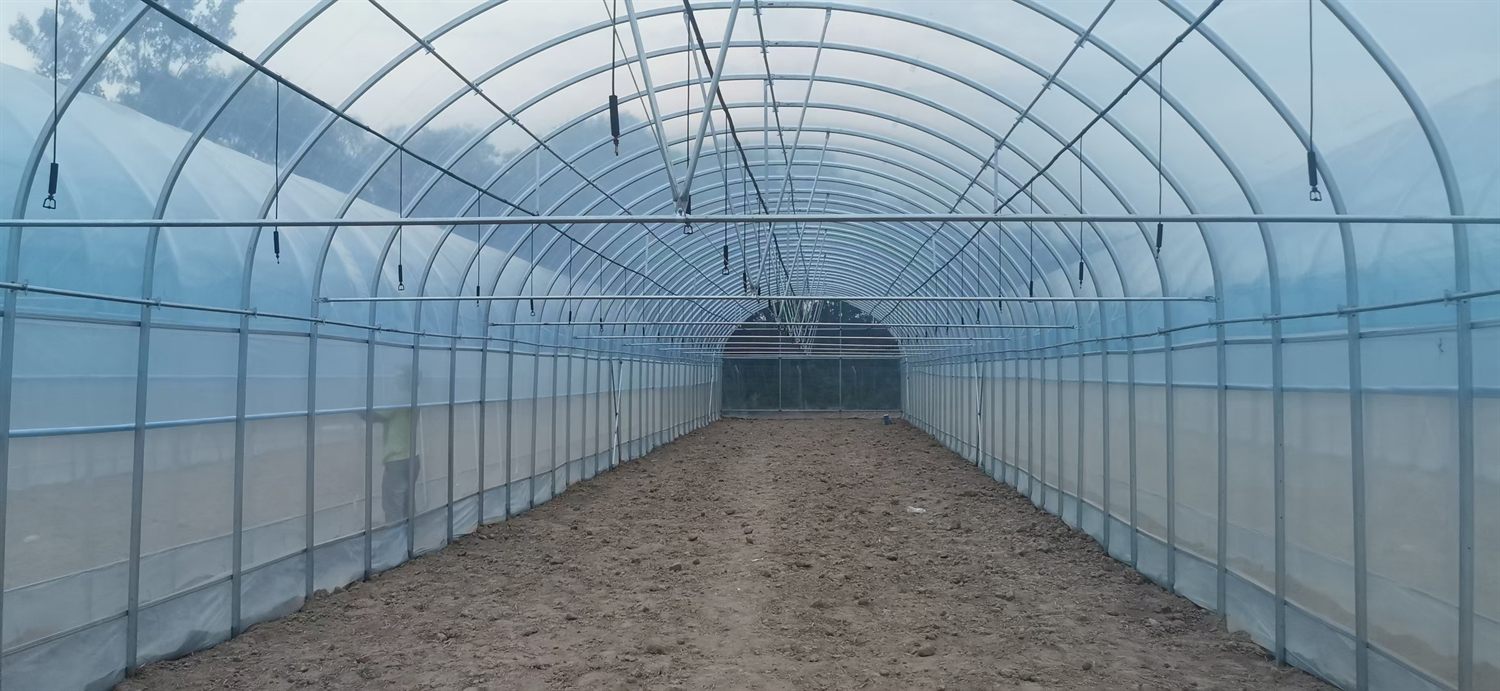 Long single-span greenhouse interior