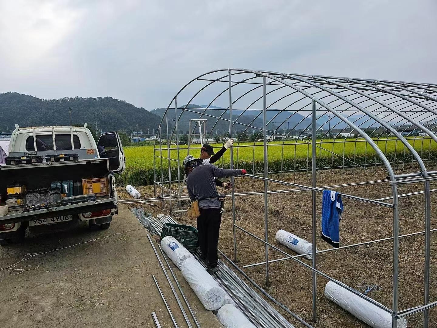 Workers assembling a single-span growing tunnel